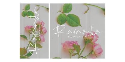 Cikade Signature Font Poster 3