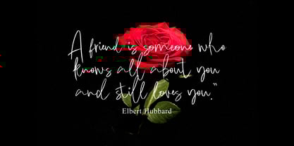 Cikade Signature Font Poster 7