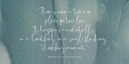 Cikade Signature Font Poster 4