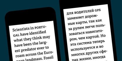Adelle Cyrillic Font Poster 3