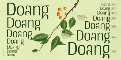 UT Doangs Font Poster 14
