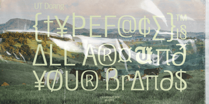 UT Doangs Font Poster 15