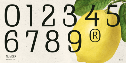 UT Doangs Font Poster 10