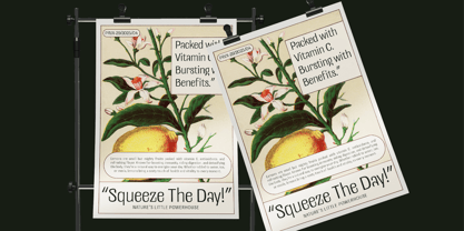 UT Doangs Font Poster 12