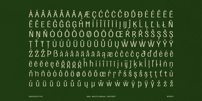 UT Doangs Font Poster 11