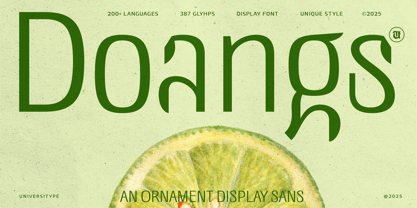 UT Doangs Font Poster 1