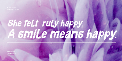 CF Plumpy Bold Font Poster 4