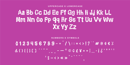 CF Plumpy Bold Font Poster 6