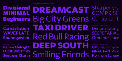 Leksikal Sans Font Poster 4