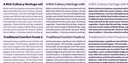 Leksikal Sans Font Poster 5