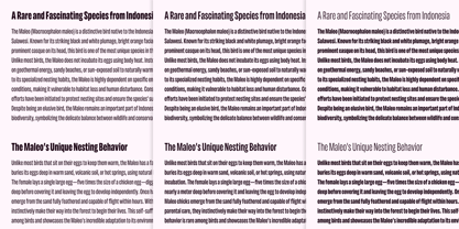 Maleo Font Poster 5