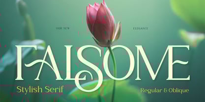 Falsome Font Poster 1