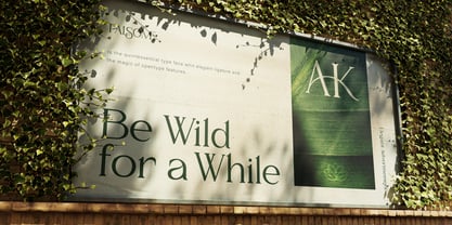 Falsome Font Poster 9