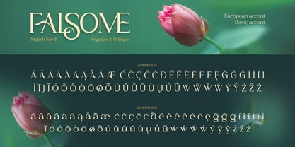 Falsome Font Poster 11