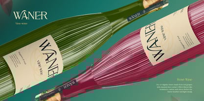 Falsome Font Poster 6