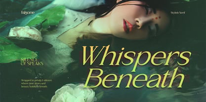 Falsome Font Poster 7