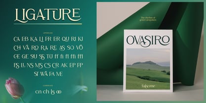 Falsome Font Poster 4