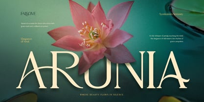 Falsome Font Poster 3