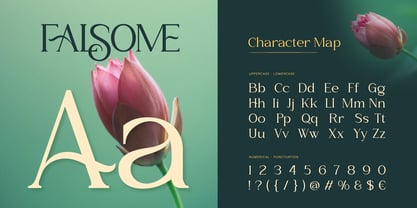 Falsome Font Poster 2