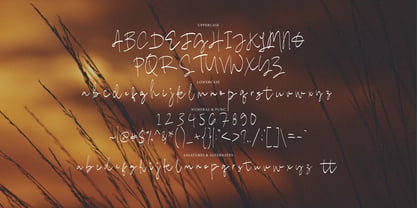 Hatersi Signature Font Poster 9