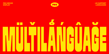 FBS Mecho Font Poster 15