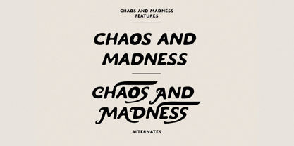 Chaos And Madness Font Poster 4