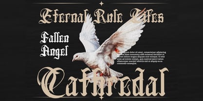 Daxterus Font Poster 12