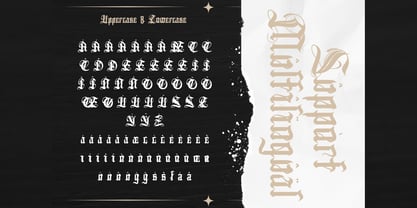 Daxterus Font Poster 4