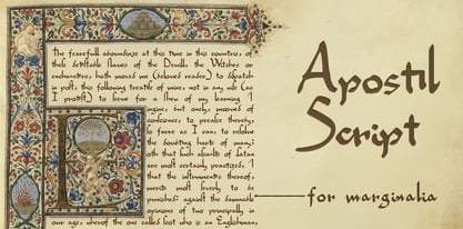 Apostil Script Font Poster 1