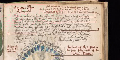 Apostil Script Font Poster 3