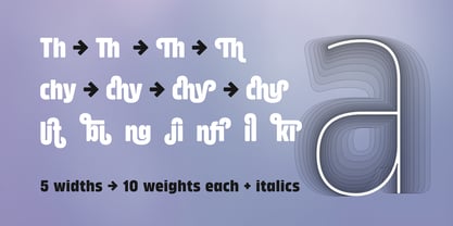 Amfibia Font Poster 15