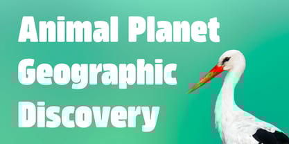 Amfibia Font Poster 14