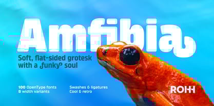 Amfibia Font Poster 1