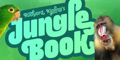 Amfibia Font Poster 2