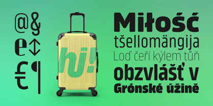 Amfibia Font Poster 8