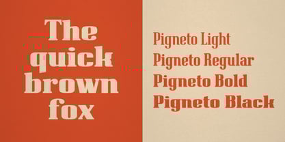 Pigneto Font Poster 3