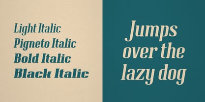 Pigneto Font Poster 4
