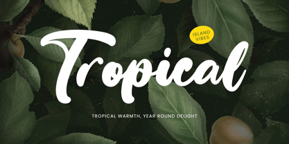 Bumble Ritual Font Poster 4