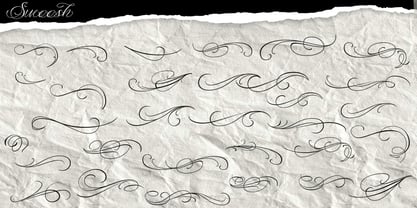 Chico Loco Font Poster 3