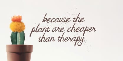 Feny Anjany Font Poster 5