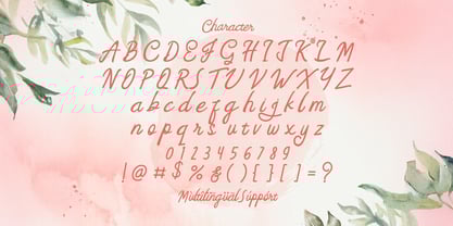 Feny Anjany Font Poster 7