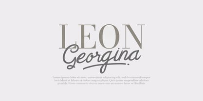 Feny Anjany Font Poster 2