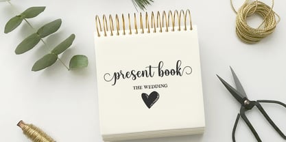 Story Line Script Font Poster 5