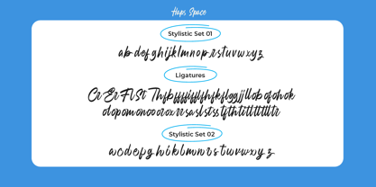 Raveggin Script Font Poster 14
