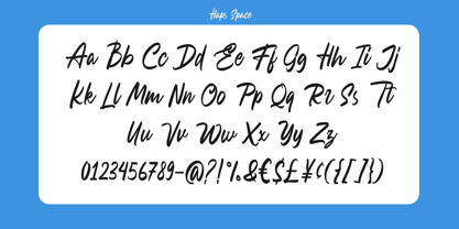 Raveggin Script Font Poster 13