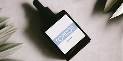 Phoenix Display Font Poster 7