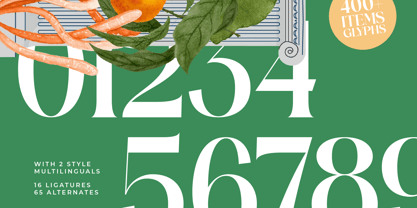 Mosbic Font Poster 11