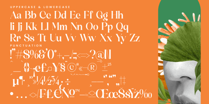Mosbic Font Poster 14