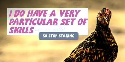 Puddinghead Font Poster 6