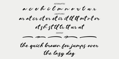 Papelonia Font Poster 8